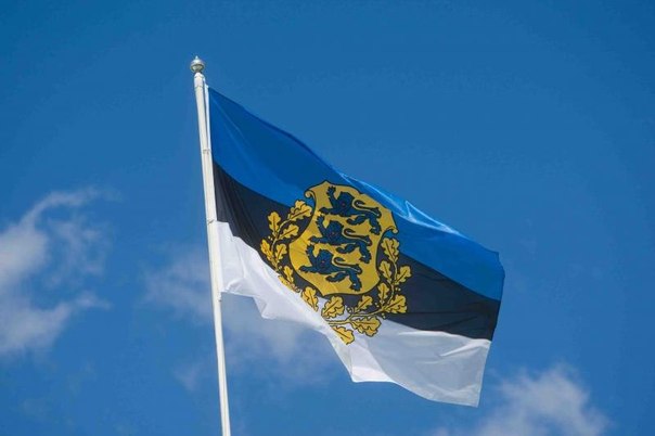 флаг эстонии фото